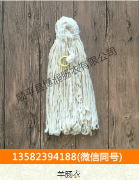 葫芦娃短视频APP廠家